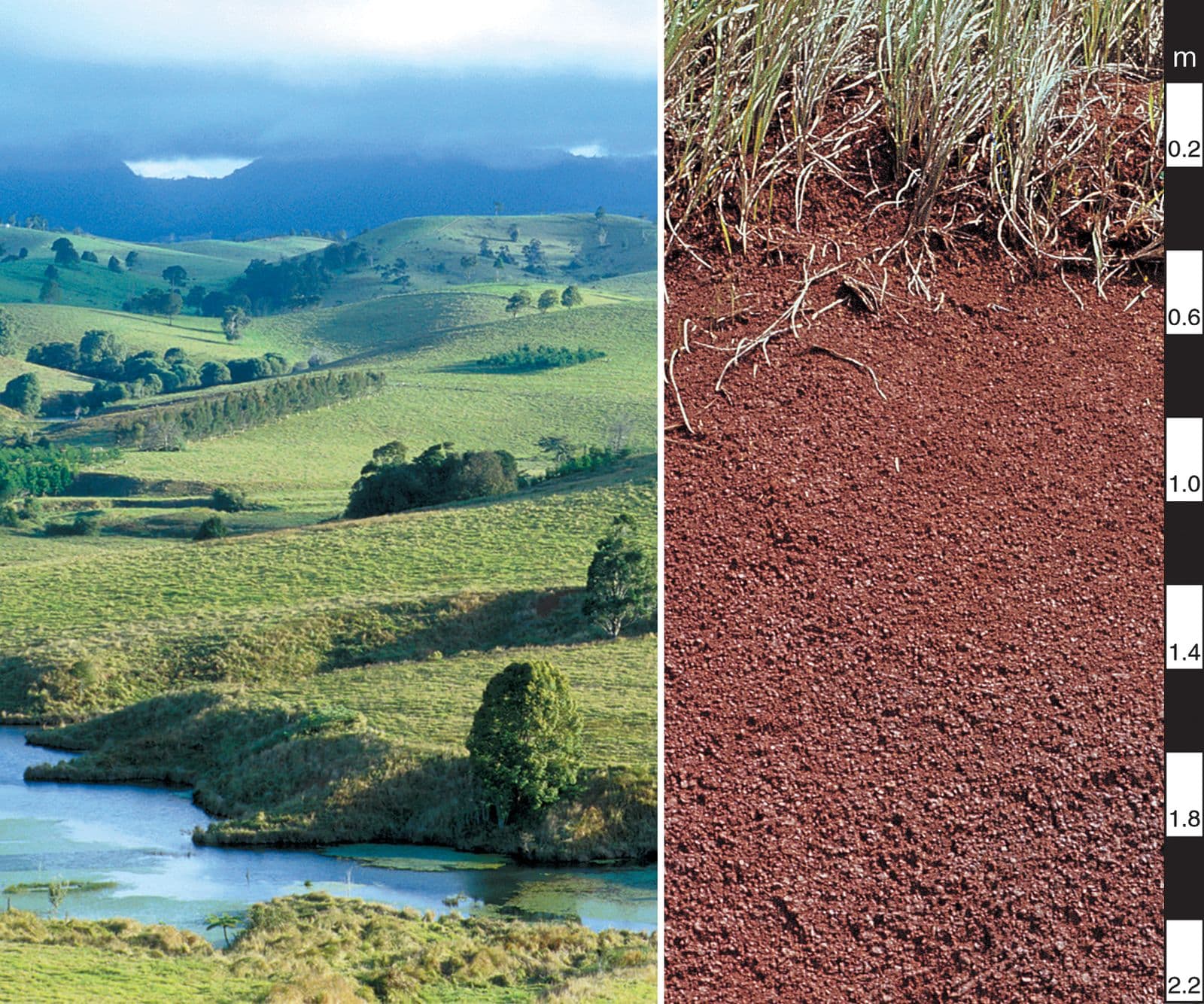Red Ferrosol soil profile with a depth scale, with green rolling hills of the Atherton Tablelands, north Queensland, behind