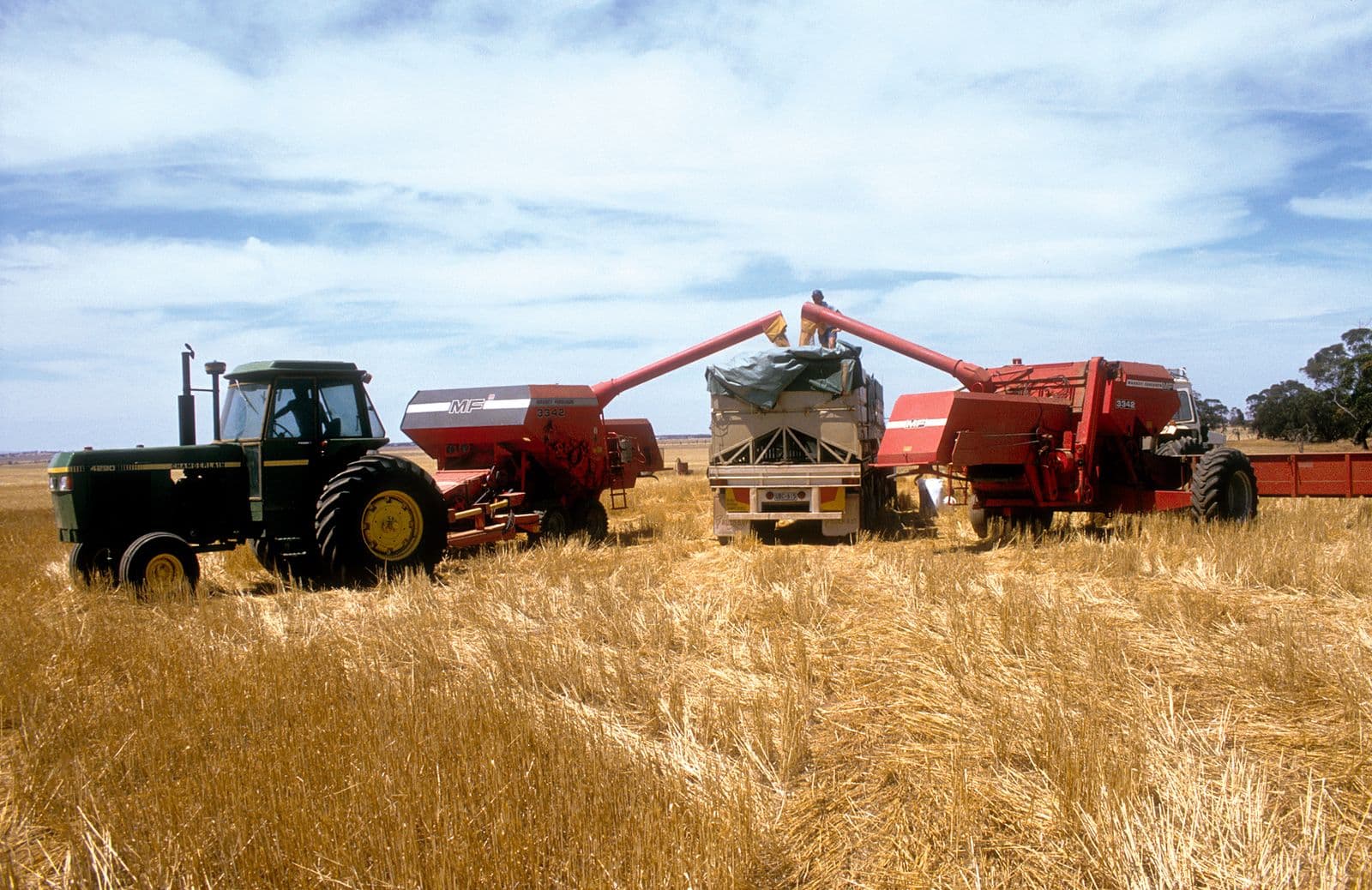Tractor and red harvesting equipment working in a wheat crop at Blyth, mid north of South Australia (photographed 1986)