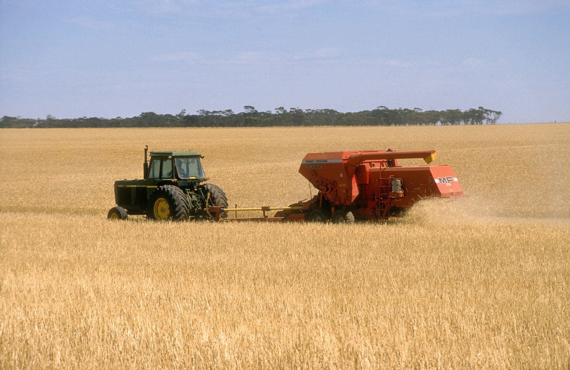 Harvesting a wheat crop near Blyth, mid north of South Australia (photographed 1986)