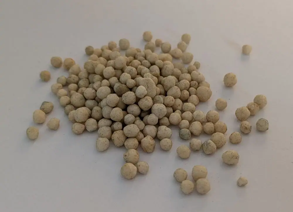 Cream-coloured fertiliser pellets (calcium ammonium nitrate) on a pale surface