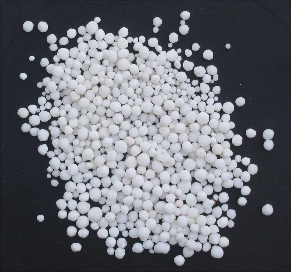 White granules of a nitrogen fertiliser (calcium ammonium nitrate shown) on a dark background