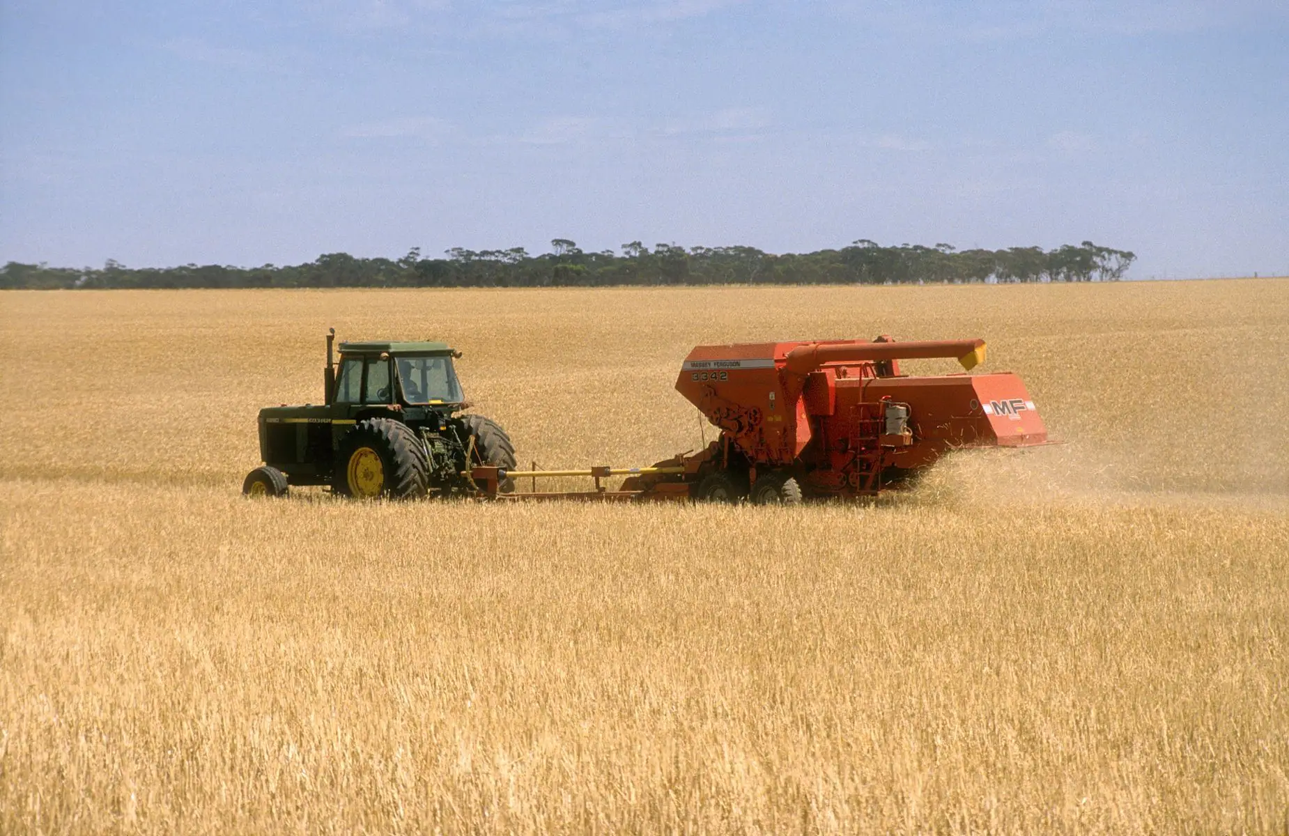 Harvesting a wheat crop near Blyth, mid north of South Australia (photographed 1986)